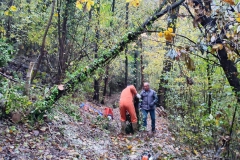 2022-11-16-Taglio-piante-sentiero-407-Gaito-S.Rocco-4