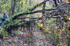 2022-11-16-Taglio-piante-sentiero-407-Gaito-S.Rocco-5