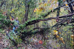 2022-11-16-Taglio-piante-sentiero-407-Gaito-S.Rocco-6