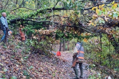 2022-11-16-Taglio-piante-sentiero-407-Gaito-S.Rocco-7