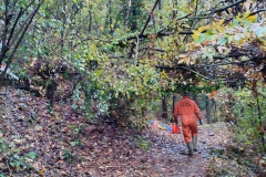 2022-11-16-Taglio-piante-sentiero-407-Gaito-S.Rocco-8