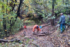 2022-11-16-Taglio-piante-sentiero-407-Gaito-S.Rocco-9