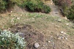 WhatsApp-Image-2022-10-26-at-11.09.29