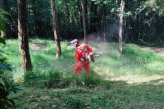 2022-06-20-Croce-del-Boscone-10