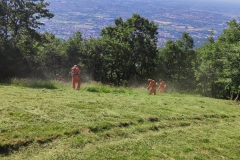 2022-06-20-Croce-del-Boscone-2