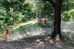 2022-06-20-Croce-del-Boscone-4