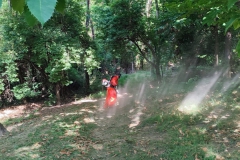 2022-06-20-Croce-del-Boscone-5