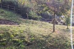 2022-10-26-Pulizia-al-Fenile-3