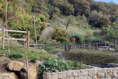 2022-10-26-Pulizia-al-Fenile-9