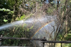 2023-10-08-Esercitazione-AIB-volontari-22