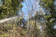 2023-10-08-Esercitazione-AIB-volontari-29