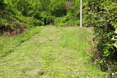 2023-05-03-Ingresso-sentiero-407-e-gradini-Gaito-15