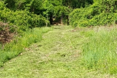 2023-05-03-Ingresso-sentiero-407-e-gradini-Gaito-16