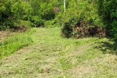 2023-05-03-Ingresso-sentiero-407-e-gradini-Gaito-20