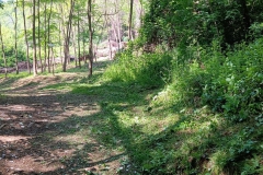 2023-05-03-Ingresso-sentiero-407-e-gradini-Gaito-3