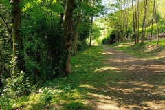 2023-05-03-Ingresso-sentiero-407-e-gradini-Gaito-4