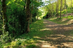 2023-05-03-Ingresso-sentiero-407-e-gradini-Gaito-5