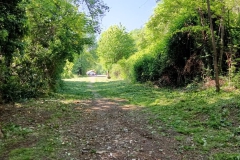 2023-05-03-Ingresso-sentiero-407-e-gradini-Gaito-6