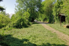 2023-05-03-Ingresso-sentiero-407-e-gradini-Gaito-7