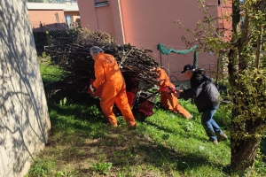 2023 - Pulizia legna in sede (08.11.2023)