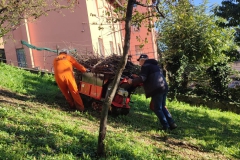 2023-11-08-Pulizia-legna-in-sede-1