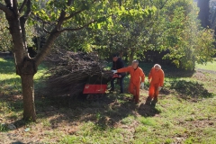 2023-11-08-Pulizia-legna-in-sede-2