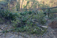 2023-11-29-Pulzia-pista-ciclabile-Valmarina-5