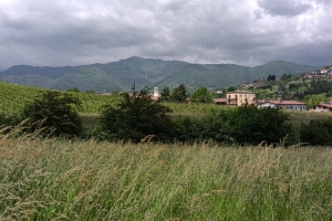 2023 - Sfalcio erba Sede Parco dei Colli (18.05.2023)