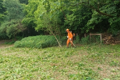 2023-05-18-Sfalcio-erba-sede-Parco-dei-colli-15