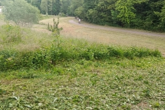 2023-05-18-Sfalcio-erba-sede-Parco-dei-colli-17