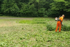 2023-05-18-Sfalcio-erba-sede-Parco-dei-colli-3