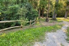 2023-08-04-Situazione-dopo-taglio-piante-in-pineta-1