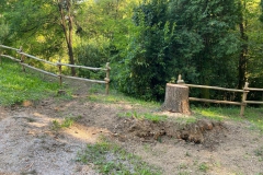 2023-08-04-Situazione-dopo-taglio-piante-in-pineta-2