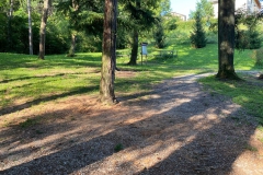 2023-08-04-Situazione-dopo-taglio-piante-in-pineta-4