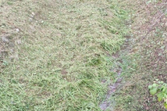 2023-10-21-Taglio-erba-al-Fenile-e-Gardellone-10