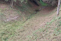 2023-10-21-Taglio-erba-al-Fenile-e-Gardellone-11