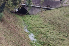 2023-10-21-Taglio-erba-al-Fenile-e-Gardellone-12