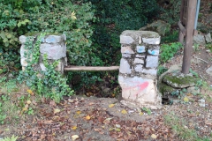 2023-10-21-Taglio-erba-al-Fenile-e-Gardellone-2