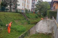 2023-10-21-Taglio-erba-al-Fenile-e-Gardellone-6