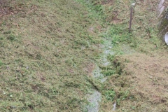 2023-10-21-Taglio-erba-al-Fenile-e-Gardellone-7