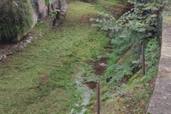 2023-10-21-Taglio-erba-al-Fenile-e-Gardellone-8