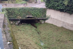 2023-10-21-Taglio-erba-al-Fenile-e-Gardellone-9