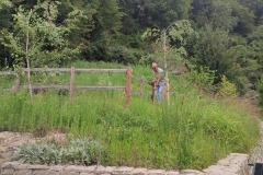 2023-08-04-Taglio-erba-al-Fenile-10