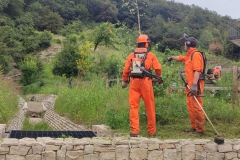 2023-08-04-Taglio-erba-al-Fenile-11