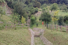 2023-08-04-Taglio-erba-al-Fenile-14