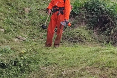 2023-08-04-Taglio-erba-al-Fenile-3