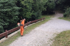 2023-08-04-Taglio-erba-al-Fenile-5