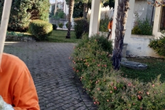 2023-11-15-Taglio-erba-giardino-S.Martino-Vecchio-1