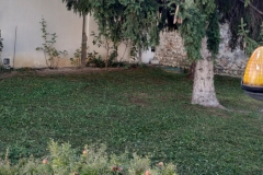 2023-11-15-Taglio-erba-giardino-S.Martino-Vecchio-2