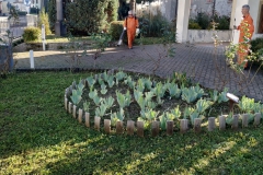 2023-11-15-Taglio-erba-giardino-S.Martino-Vecchio-3